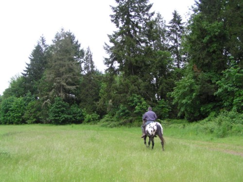 Poker trail rides oregon