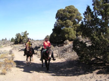 Poker trail rides oregon