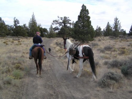 Poker trail rides oregon